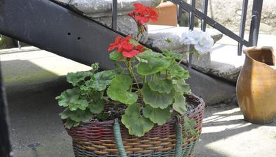 თინ-თინა_5